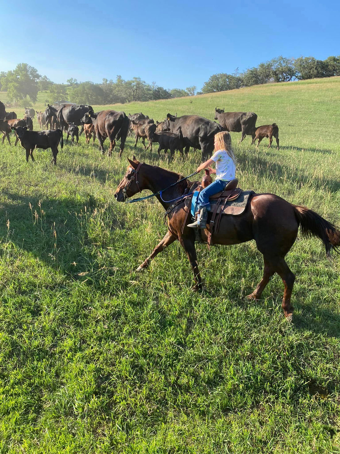 Gallery – Robinson Ranch